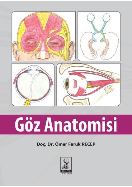 Göz Anatomisi - Ömer Faruk Recep