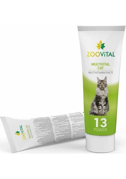 Zoo Vital Multivital Kedi Macunu 100 gr