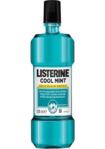 Cool Mint 500 ml 6'lı Set