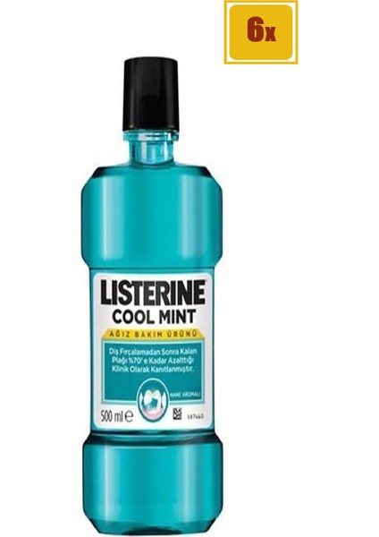 Cool Mint 500 ml 6'lı Set fiyatları