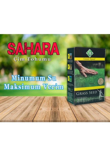 Green Space Çim Tohumu Kuraklığa ve Sıcağa Dayanıklı Mix 1 kg