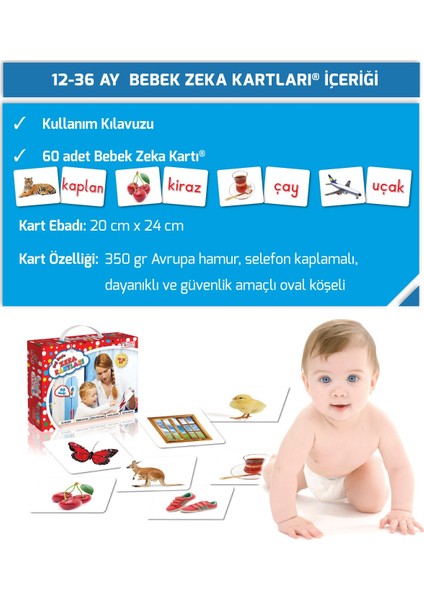 Bebek Zeka Kartları - (12-36 Ay) Sağ Beyin Zeka Kartları