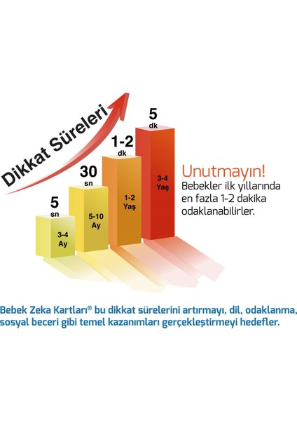 Bebek Zeka Kartları - (12-36 Ay) Sağ Beyin Zeka Kartları