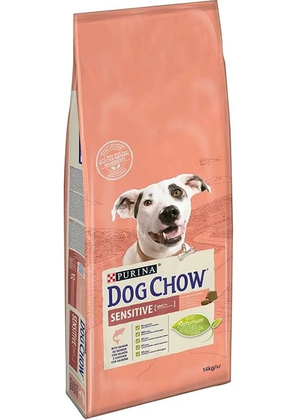 Dog Chow Hassas Köpekler için Somonlu Yetişkin Köpek Maması 14kg