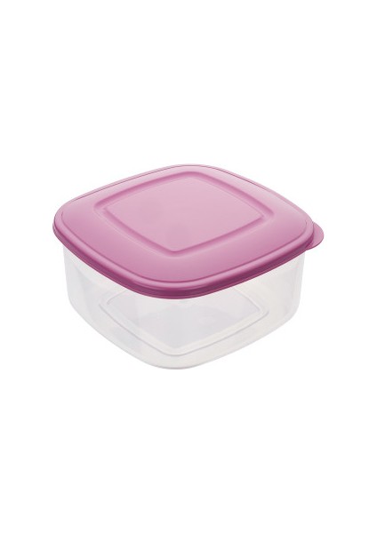 Köşeli Saklama Kabı 2.30 Litre BO805 fiyatları