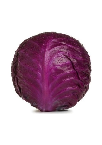 Kırmızı Lahana Tohumu + Çimlendirme Torfu