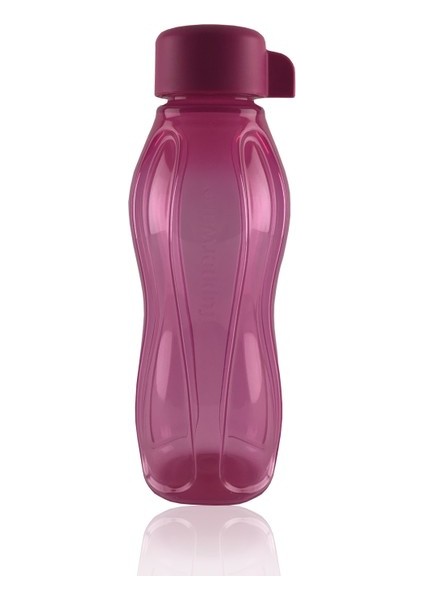 Eko Şişe 310 ml Pembe Suluk