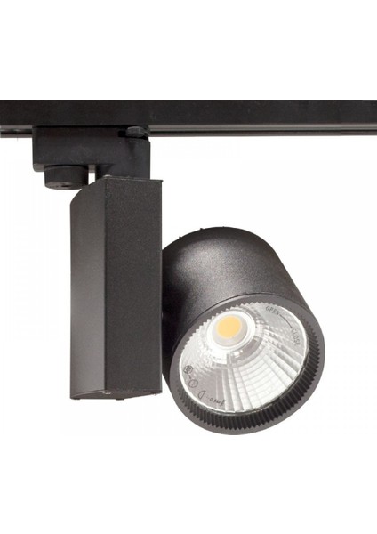 AD30-04001 Ack 30 W Cob Led Ray Spot Siyah Kasa Günışığı