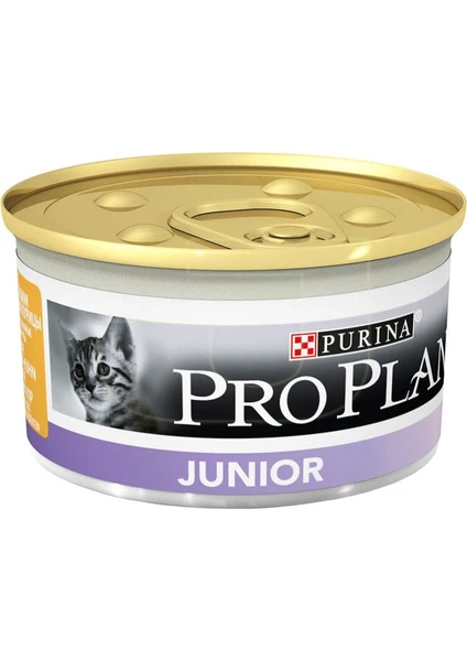 ProPlan Junior Tavuklu Yavru Kedi Konservesi 85 gr