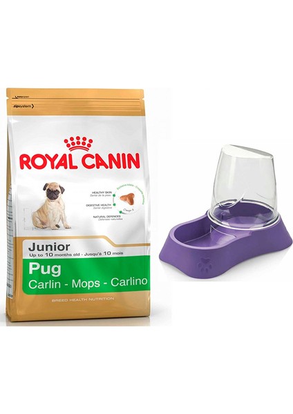 Pug Junior Yavru Köpek Maması 1,5 kg + Evohe Mama Kabı