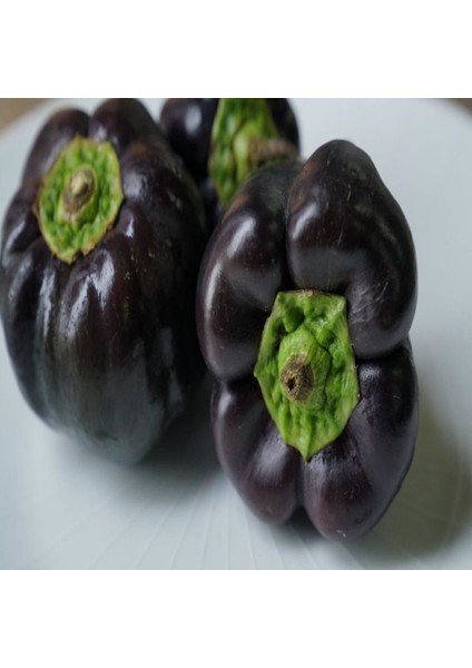 İdeasepet Naturally Dolmalık Purple Beauty Biber Tohumu (20 Tohum)