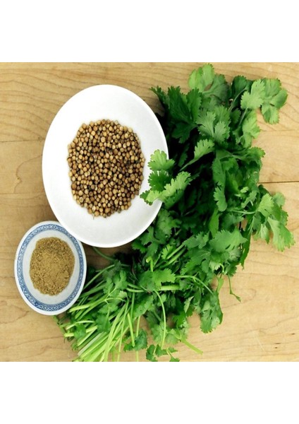 İdeasepet Naturel Kokulu Kişniş Tohumu (55 Tohum)