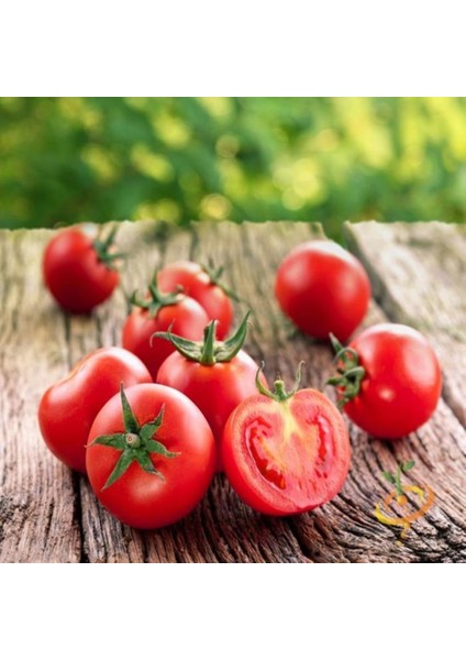 İdeasepet Natural Doğal Ace 55 Domates Tohumu (20 Tohum)