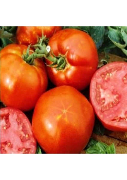 İdeasepet Natural Doğal Homestead Domates Tohumu (20 Tohum)