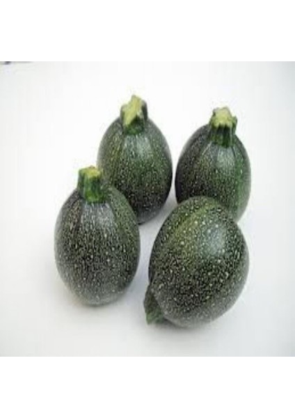 İdeasepet Geleneksel Round Zucchini Kabak Tohumu (10 Tohum)