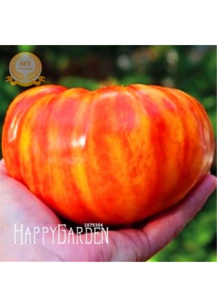 İdeasepet Natural Gökkuşağı Domates Tohumu (20 Tohum)