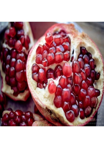 İdeasepet Tüplü Tatlı Çekirdeksiz Nar Fidanı