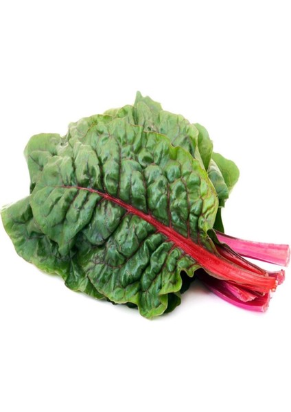 İdeasepet Naturel Kırmızı Pazı Tohumu (40 Tohum)