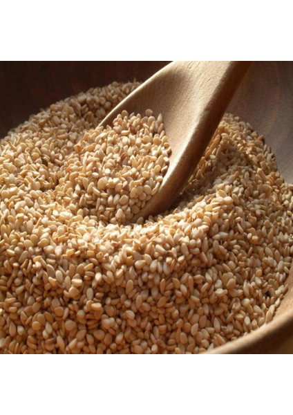 İdeasepet Naturel Geleneksel Susam Tohumu (50 Tohum)