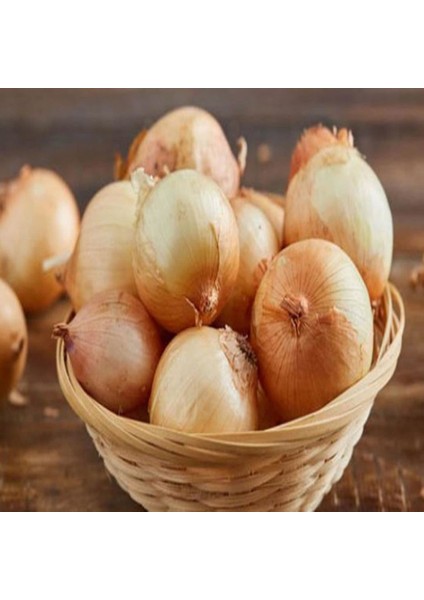 İdeasepet Naturel Sofralık Teksas Grano Soğan Tohumu (50 Tohum)