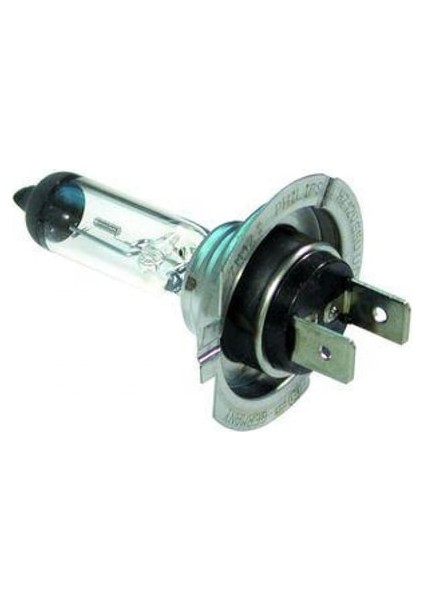 Ampül Plus 50 12 V H1 55 W P145S