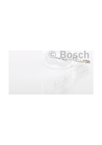 Ampül Pure Lıght 12 V W16W 16 W W21X95D
