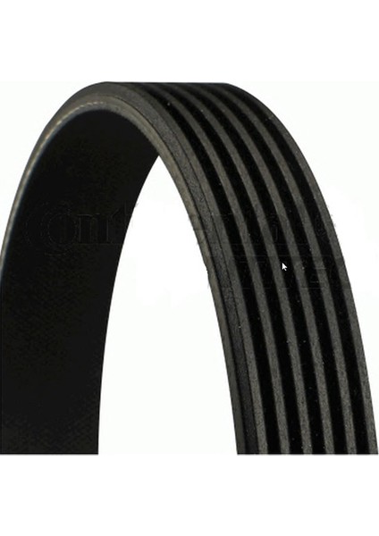 Kanallı Kayış Peugeot 206 207 1.4 307 1.4 1.6 Citroen C2 C3 C4 1.4 1.6 Con 6Pk730