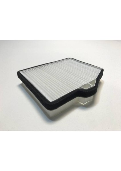 Polen Filtresi Starex 97