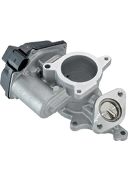 Egr Valfi A4 A6 2.0 Tdı 04