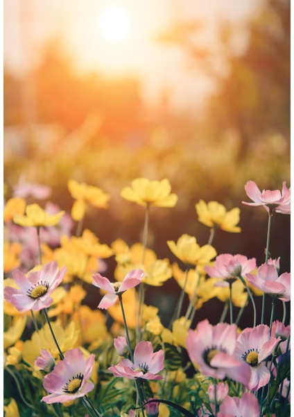 Bulaşık Makinesi Sticker 016 fiyatları