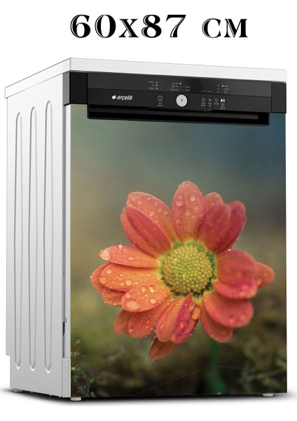 Bulaşık Makinesi Sticker 069