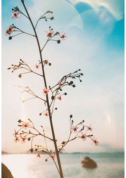 Bulaşık Makinesi Sticker 103 fiyatları