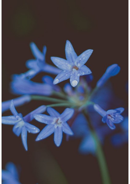 Bulaşık Makinesi Sticker 115 fiyatları