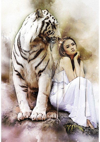 Bulaşık Makinesi Sticker 158 fiyatları