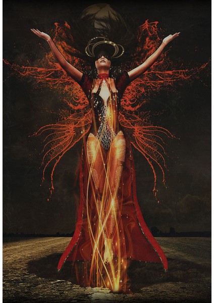 Bulaşık Makinesi Sticker 161 fiyatları