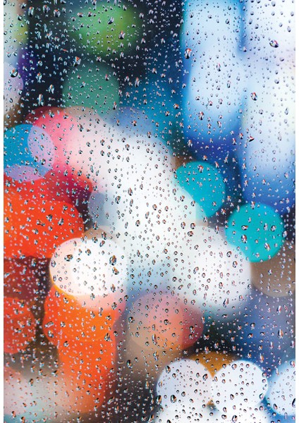 Bulaşık Makinesi Sticker 162 fiyatları