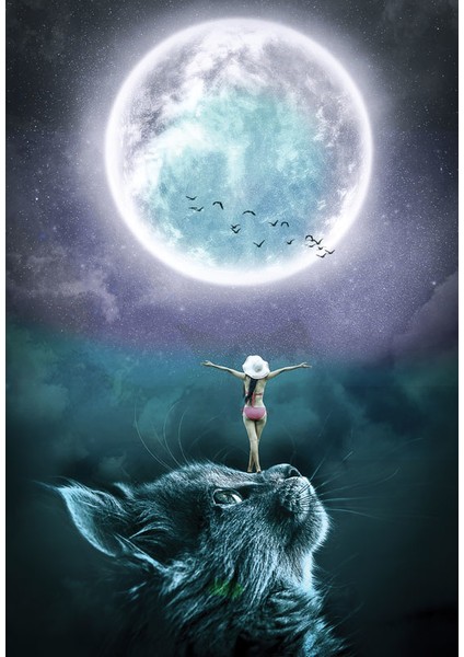 Bulaşık Makinesi Sticker 194 fiyatları