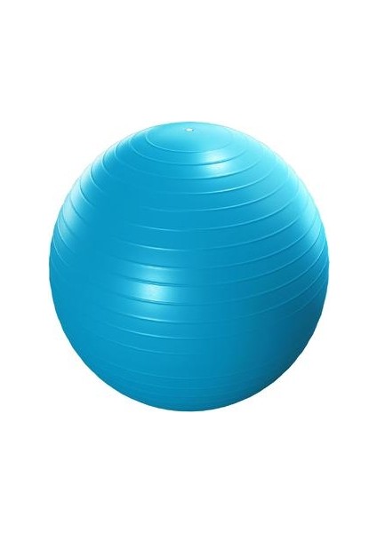 Max-Tech Deluxe 65 cm Pilates Topu