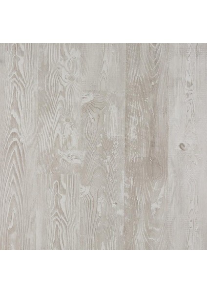 Floorpan Class Silver Parke