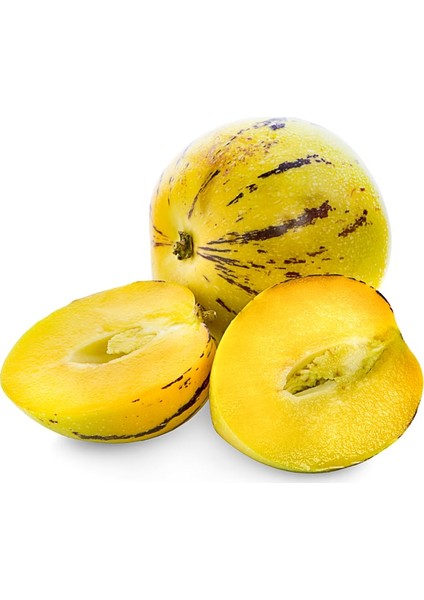 Pepino Tohumu + Çimlendirme Torfu