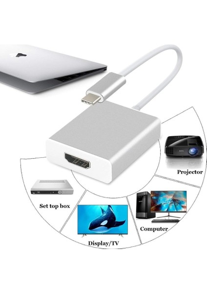 USB 3.1 Type-C Erkek - HDMI Dişi Çevirici Adaptör CDG-CNV33
