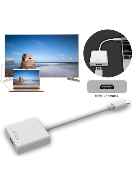 USB 3.1 Type-C Erkek - HDMI Dişi Çevirici Adaptör CDG-CNV33