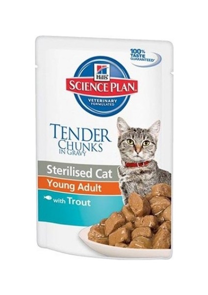 Sterilised Alabalık Kedi Konservesi 85 g x 12 Adet