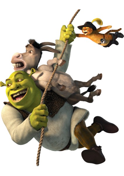 Areksan Reklam Shrek ve Arkadaşları Çocuk Odası Duvar Sticker fiyatları
