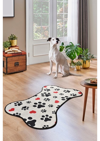 Chilai Home Perro Djt 60X100 cm Dekoratif Halı