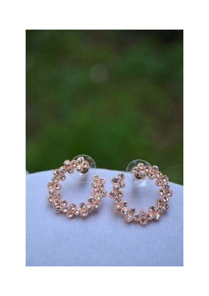 Jewellery Halka Bayan Küpe fiyatları