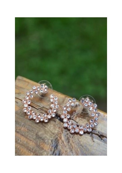 Jewellery Halka Bayan Küpe modelleri