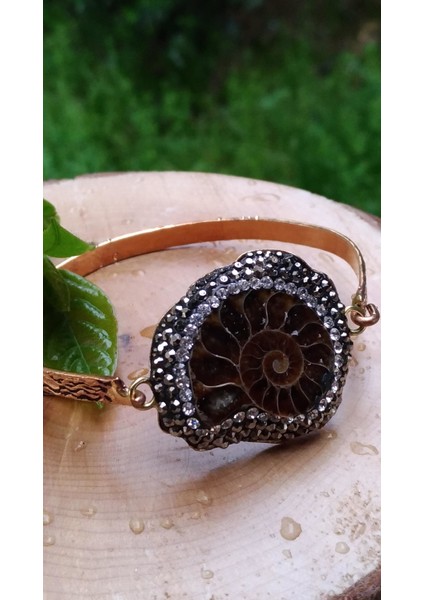 Jewellery Salyangoz Fosili El Yapımı Bayan Bileklik fiyatları