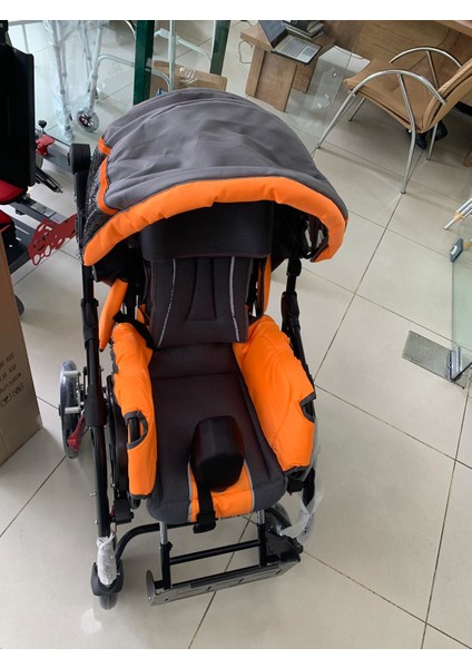 DM-8001 Buggy