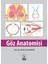Göz Anatomisi - Ömer Faruk Recep 1